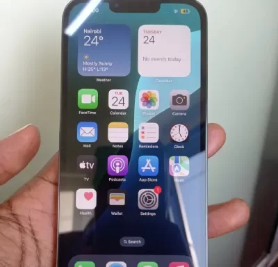 iPhone 13 Pro Max 256GB